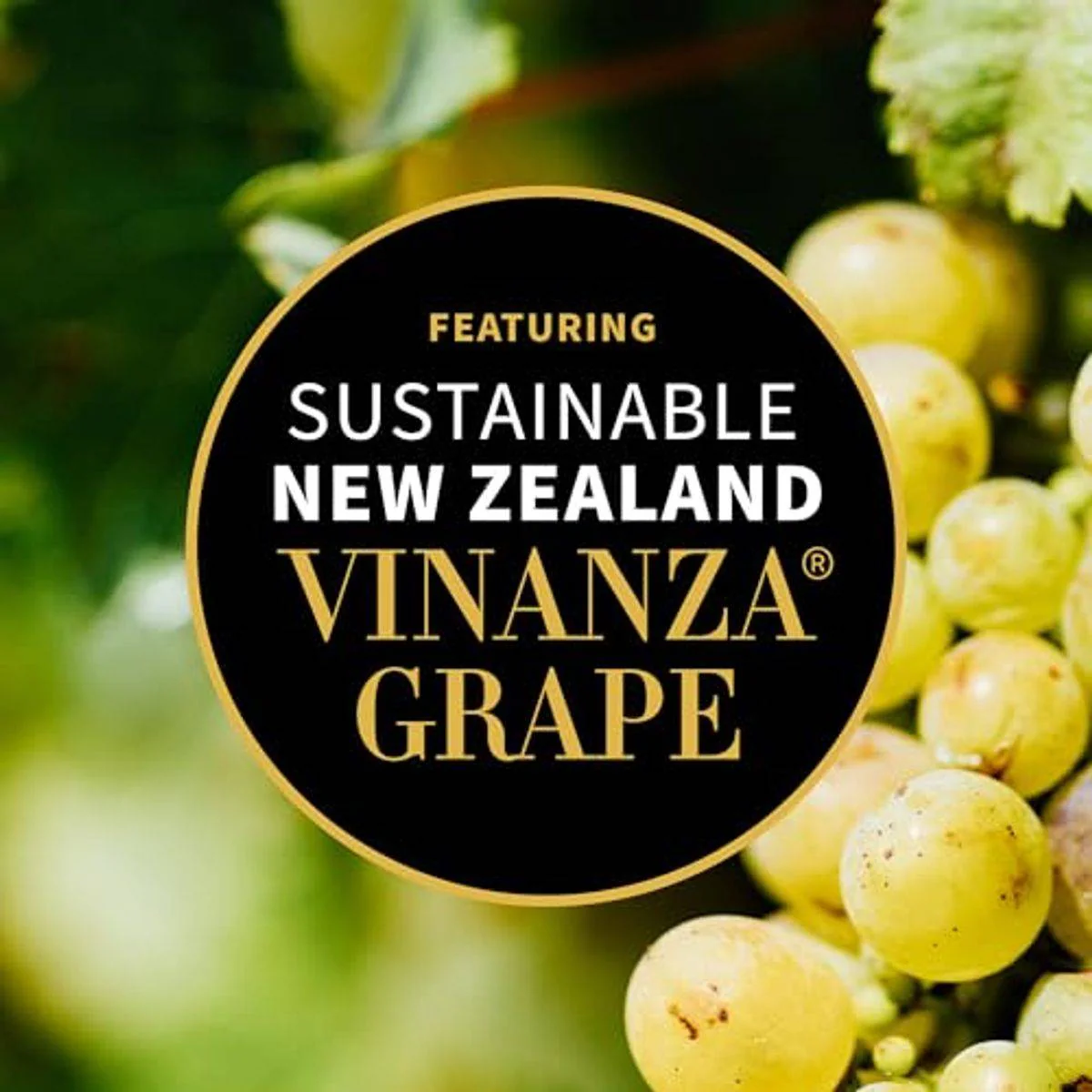 Antipodes Grapeseed Butter Cleanser 75g - Image 5