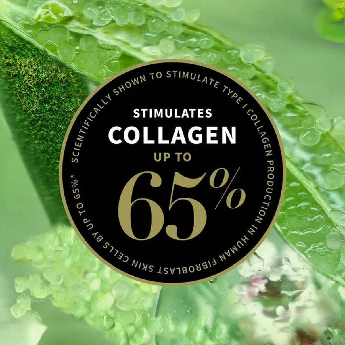 Antipodes Lime Caviar Collagen Rich Firming Cream 60ml - Image 7