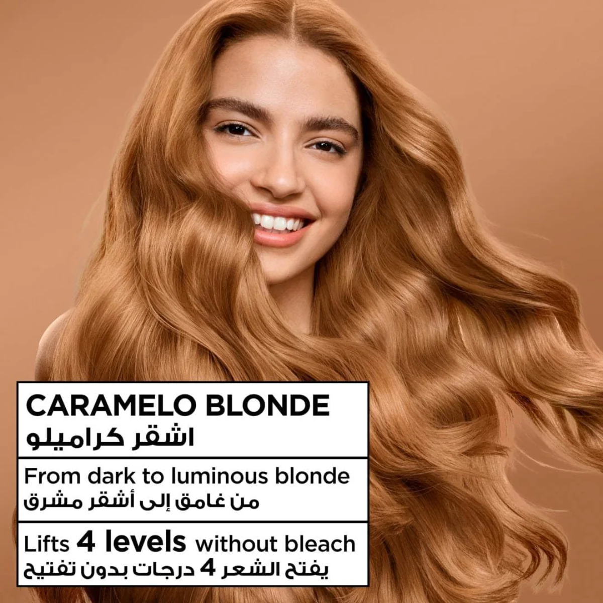 Garnier Color Naturals Caramel Chesnut Blonde 6.31 - Image 3
