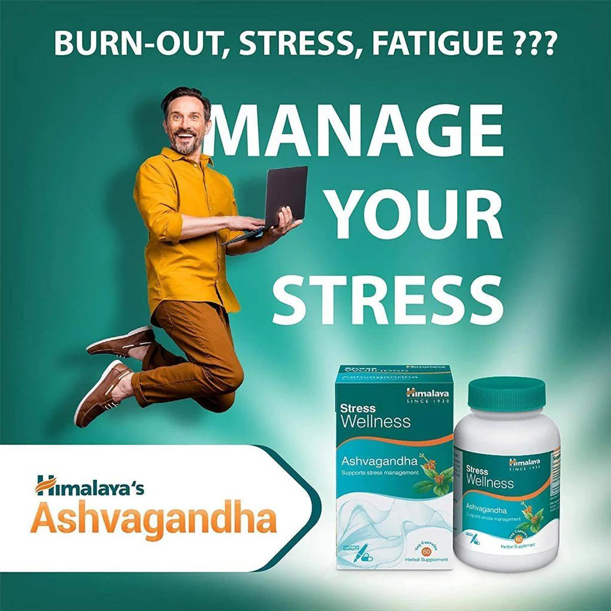 Himalaya Ashvagandha Stress Wellness 60 Capsules - Image 4