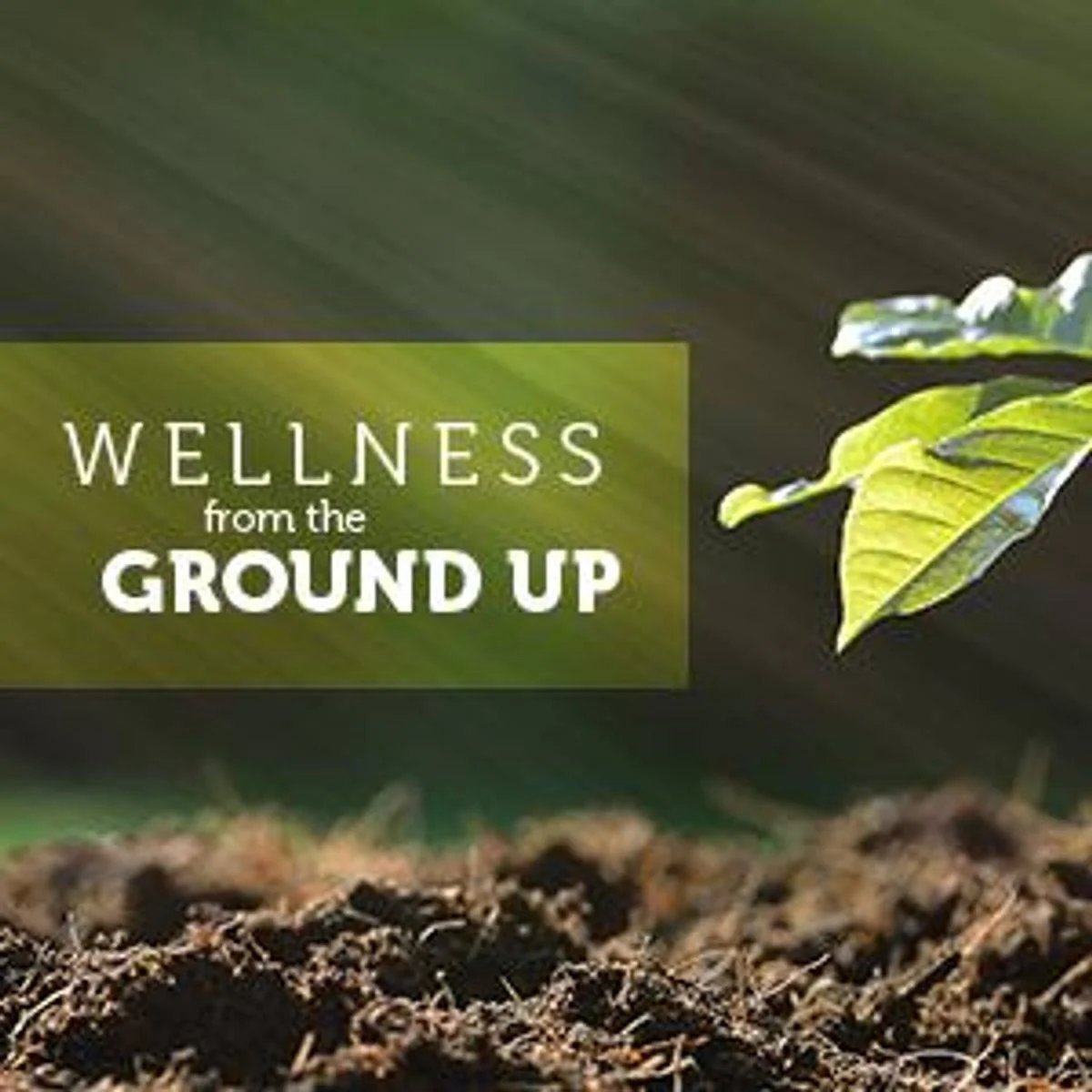 Himalaya Face Mask Purifying Neem 150ml - Image 2