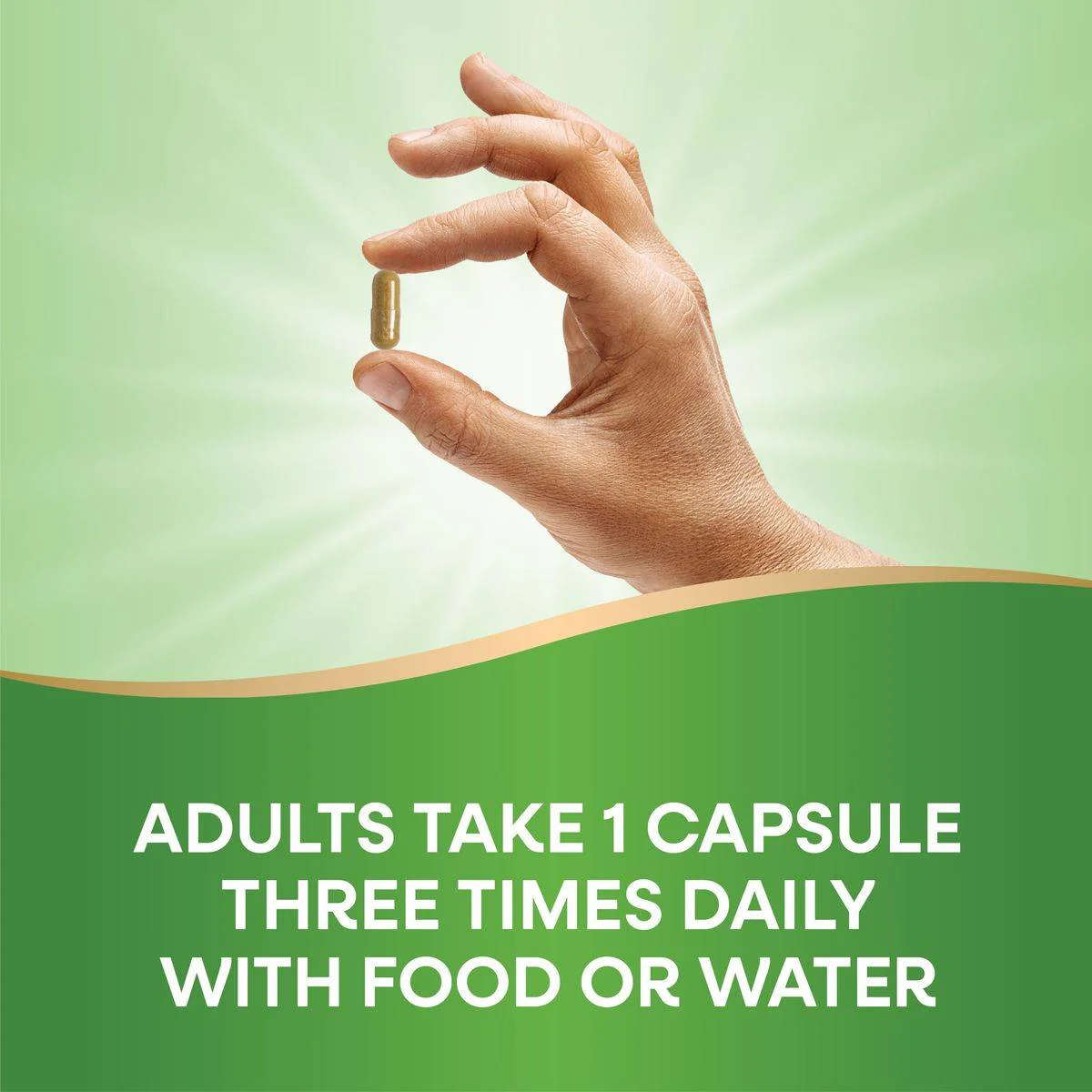 Natures Way Milk Thistle 60 VegeCapsules - Image 2