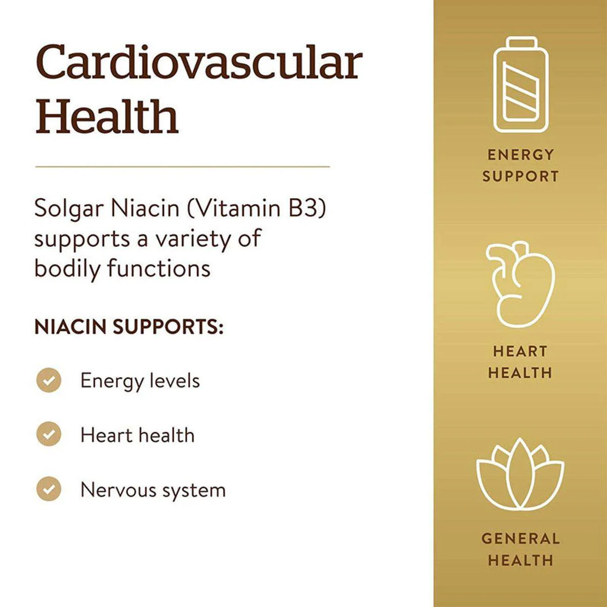 Solgar Niacin Vitamin B3 500mg 100 Vege Capsules - Image 3